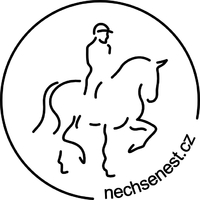 Nechsenest